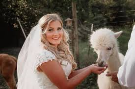 Blackberry Hill Alpaca Farm